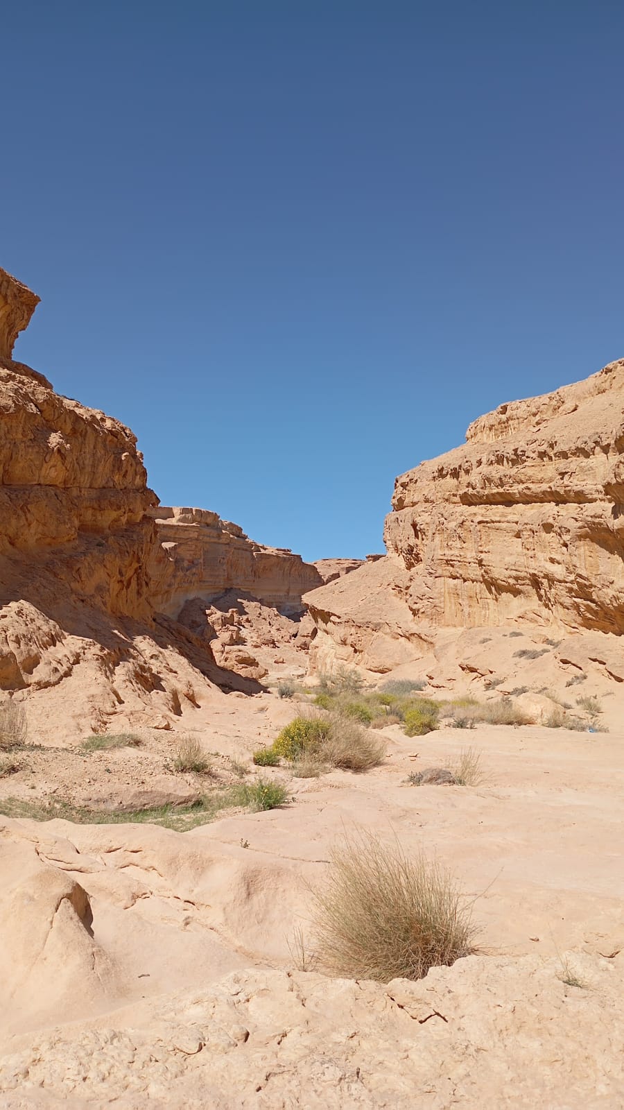 Photo de l'établissement