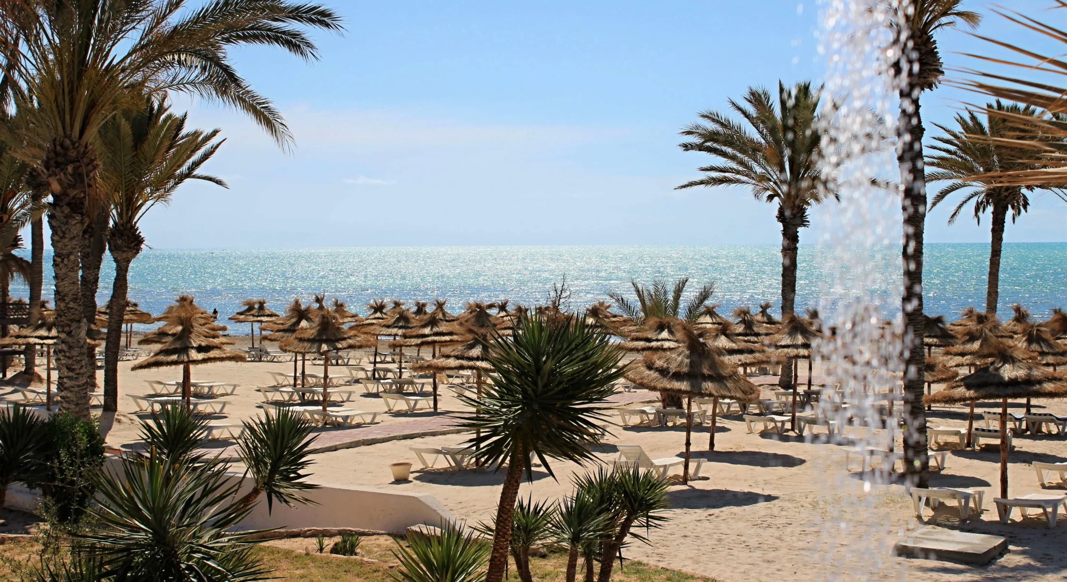 Photo de l'établissement