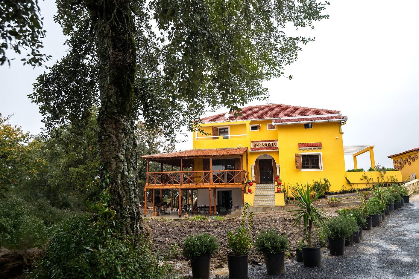 Dar Monia Aïn Drahem